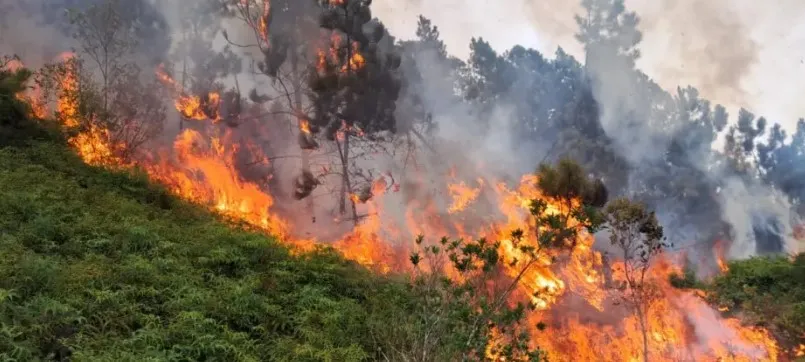  (Foto: CBMSC, Divulgação)