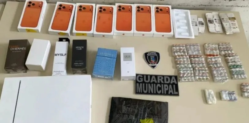  (Foto: Prefeitura de Joinville, Divulgação)